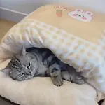 Borger Mit Garten