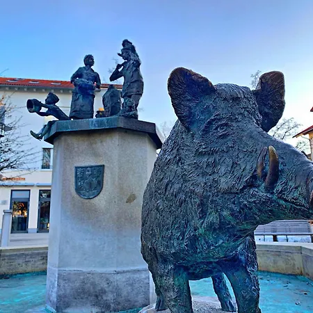 Borger Mit Garten Sauerlach